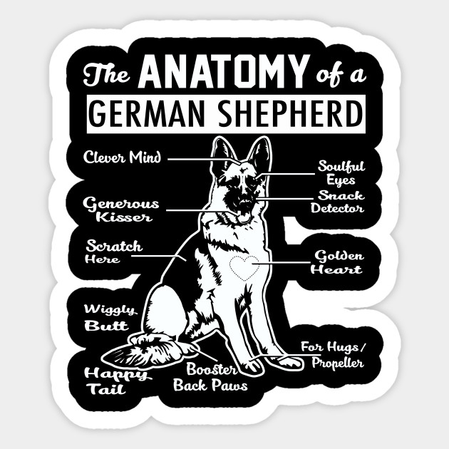The Anatomy Of A German Shepherd Shirt German Shepherd Shir Sticker Teepublic