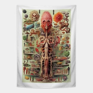 Esoteric Tapestry