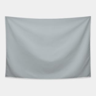 Solid Platinum Light Gray Monochrome Minimal Design Tapestry