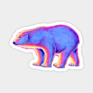 Sunset Polar Bear Magnet