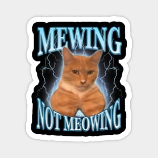 Cat Mewing Looksmax Meowing Cat Magnet