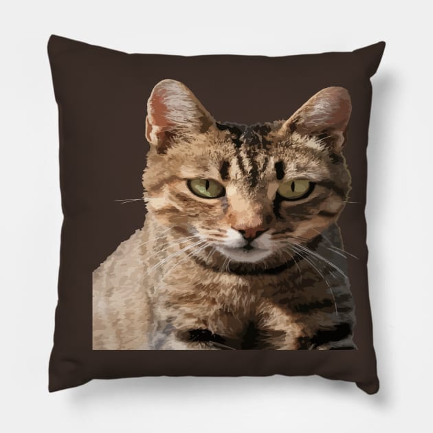 Portrait Of A Cute Tabby Cat With Direct Eye Contact Vector Pillow by taiche