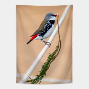 Diamond Firetail Finch Tapestry