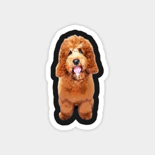 Cockerpoo Cockapoo Spoodle Cute Puppy Dog Doodle Magnet