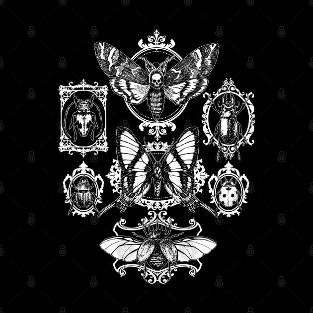 Gothic Framed Insects by RavenWake