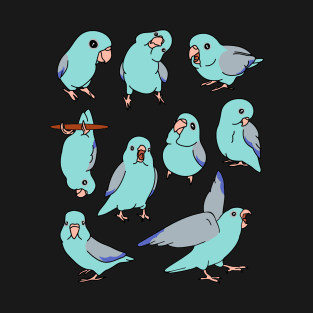 blue fallow parrotlet pattern T-Shirt