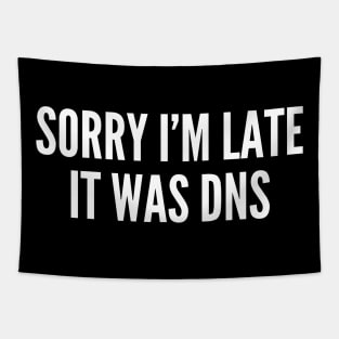 Sorry I'm Late It Was DNS Tapestry