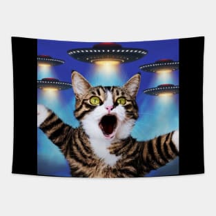 Selfie of Funny Cat And Aliens UFOs 3 Tapestry