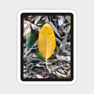 Mustard Leaf Magnet