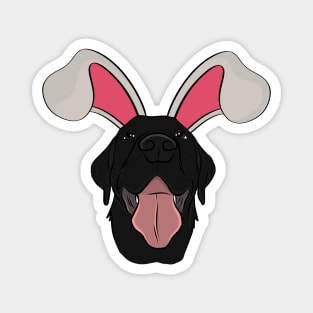 Black Labrador Bunny Magnet