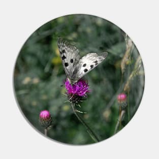 Polka Dots Butterfly Purple Flower Closeup Pin