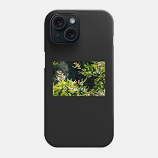 Summer butterfly on foliage Phone Case