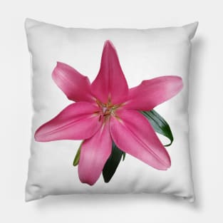 Pink lily Pillow