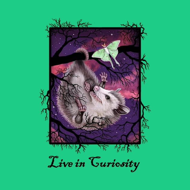 "Live in Curiosity" Opossum and Moth by Woodland Muse Crafts