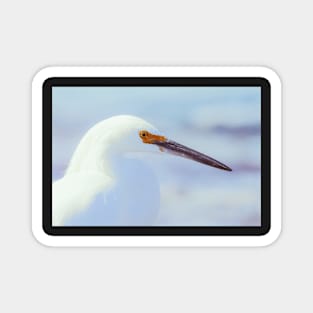 Heron Portrait Magnet