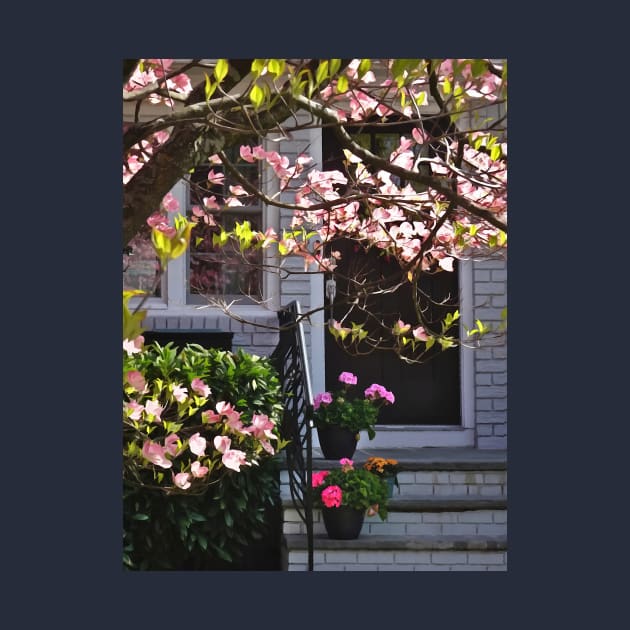 Pink Dogwood and Pots of Geraniums by SusanSavad