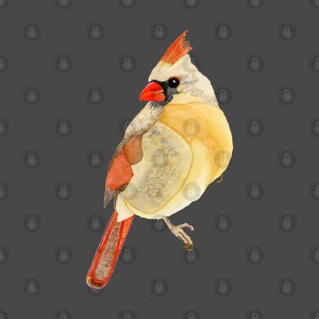 FEMALE CARDINAL - Yellow, Red, & Orange Watercolor Design by VegShop