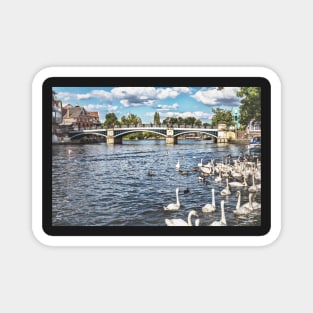 Windsor Town Bridge Magnet