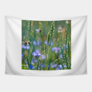 Cornflower and wheat field Tapestry