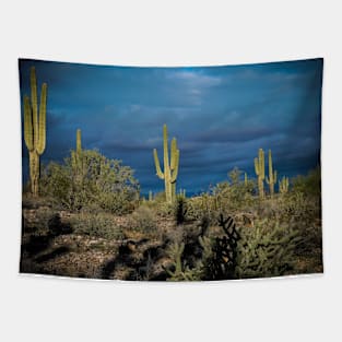 Arizona cloudy desert Tapestry