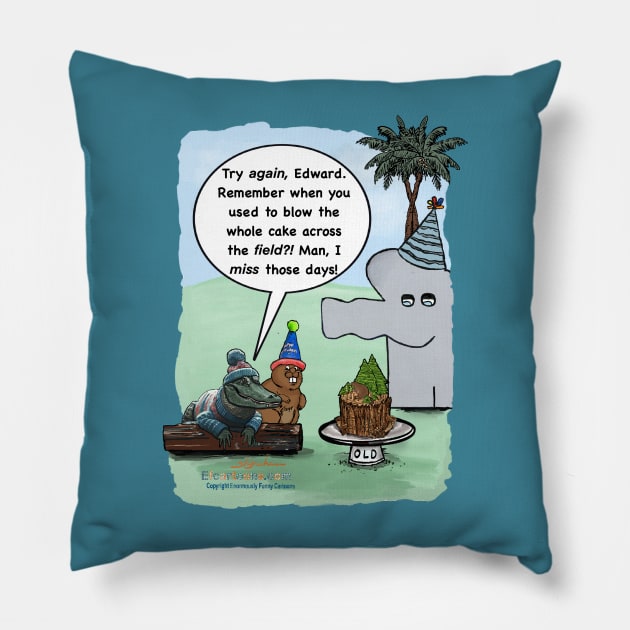 Those Days Birthday Pillow by Enormously Funny Cartoons