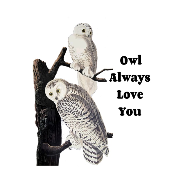 Owl Always Love Owl Design by Owl Is Studying