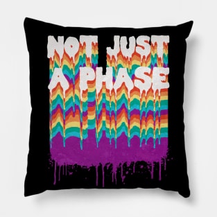 Not Just a Phase Pillow