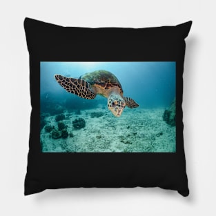 koh tao, white rock, hawksbill turtle Pillow