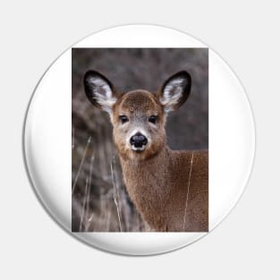 'Cutie Petootie' - White-tailed Deer Pin