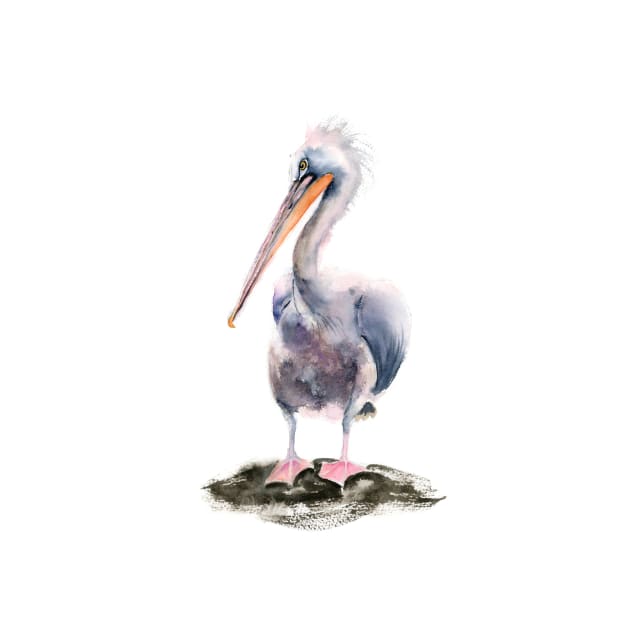 Watercolor Pelican by PaintsPassion
