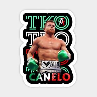 the winner of canelo alvarez Magnet