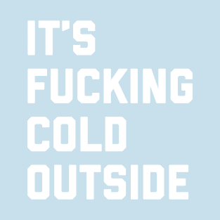 It's Fucking Cold Outside T-Shirt