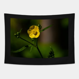 Closeup of a bright yellow buttercup Tapestry