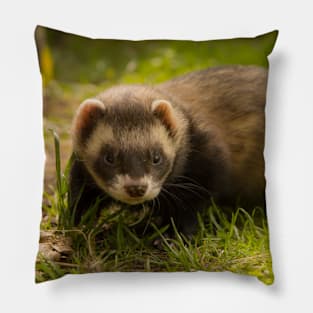 ferret lover, cute ferret, ferret pet, animals- black footed ferret Pillow