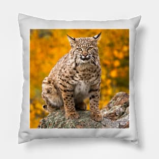 Bobcat No. 1 Pillow