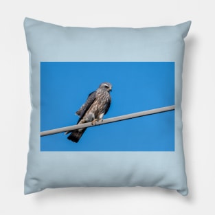 Mississippi Kite Juvenile All Alone Pillow