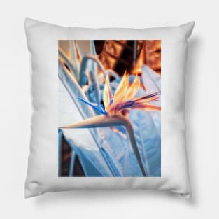 Strelitzia in Infrared Pillow