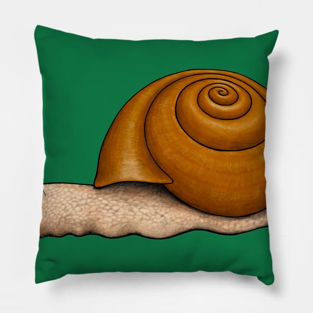 Snail Pillow by Akman