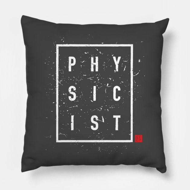 PHYSICIST 2 Pillow by geep44