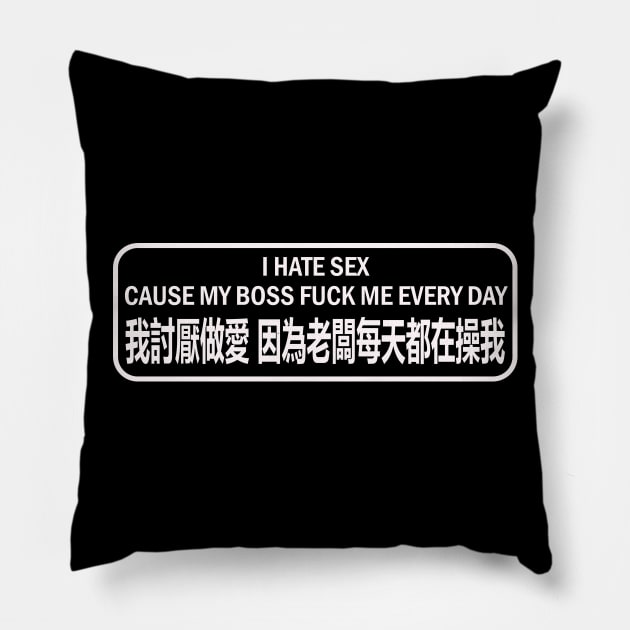 I Hate Sex Cause My Boss F*ck Me Every Day - Meme, Chinese, Funny Pillow by SpaceDogLaika