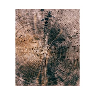 Wood cut tree rings T-Shirt