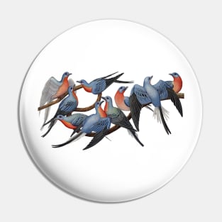 Passenger Pigeons Pin