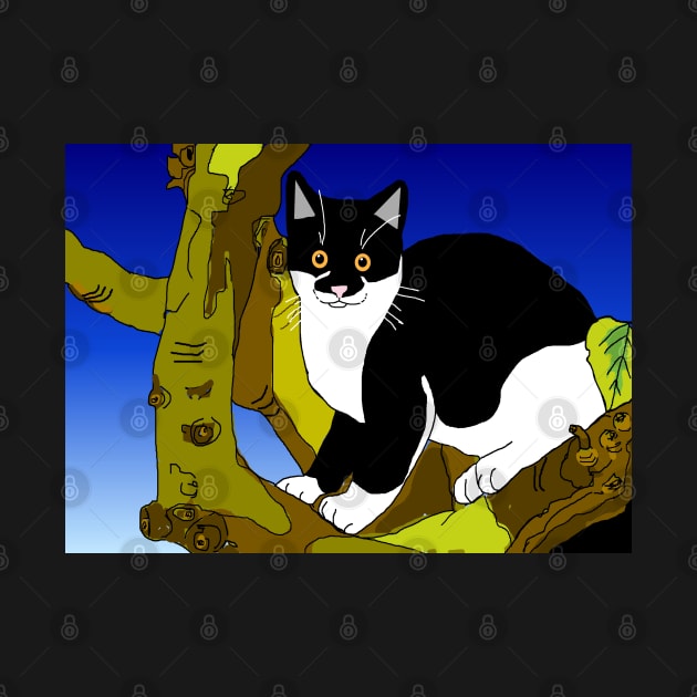 Cute Tuxedo Cat sitting in a tree  Copyright TeAnne by TeAnne