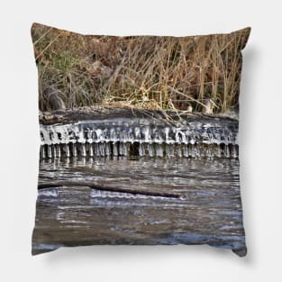 Ice Bells on the Bank Pillow