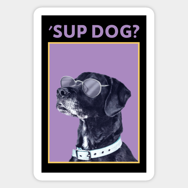 Dog Funny Sup Bro Dog Gift Whats Up Dog Sticker Teepublic