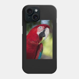 Scarlet Macaw Phone Case