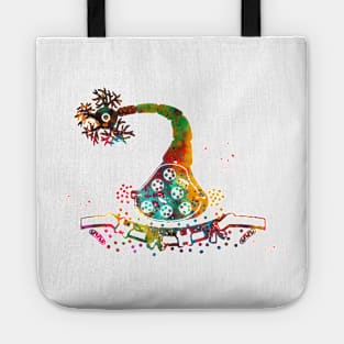 Neuron and synapse diagram Tote