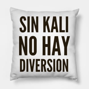 Ciberseguridad Sin Kali No Hay Diversion Lema Pillow