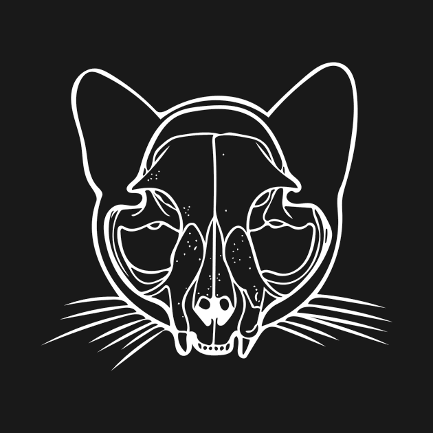 Cat Skull by LoraMaze