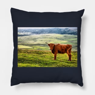 Highland Cow Happy In Scotland Pillow